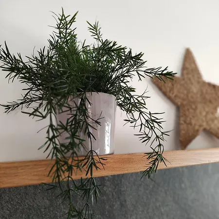 Lägenhet 558 Ski&bike Premium Apartamenty, Blisko Wyciagow *