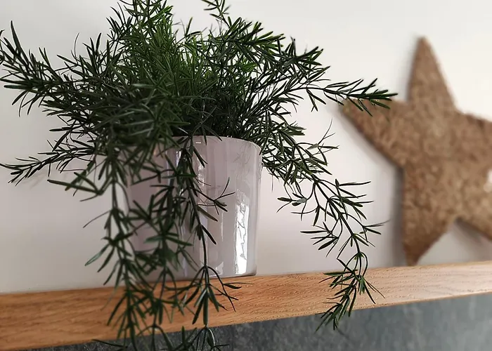 דירה 558 Ski&bike Premium Apartamenty, Basen, Blisko Wyciagow *